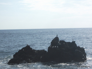 uccio-13-11-2012 09-30-21